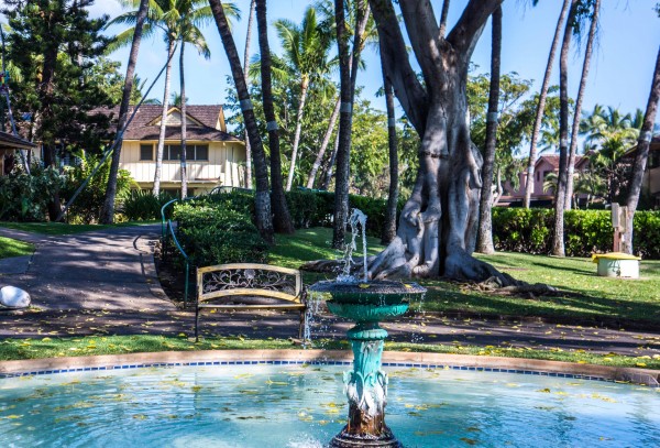 Puamana Fountain LR