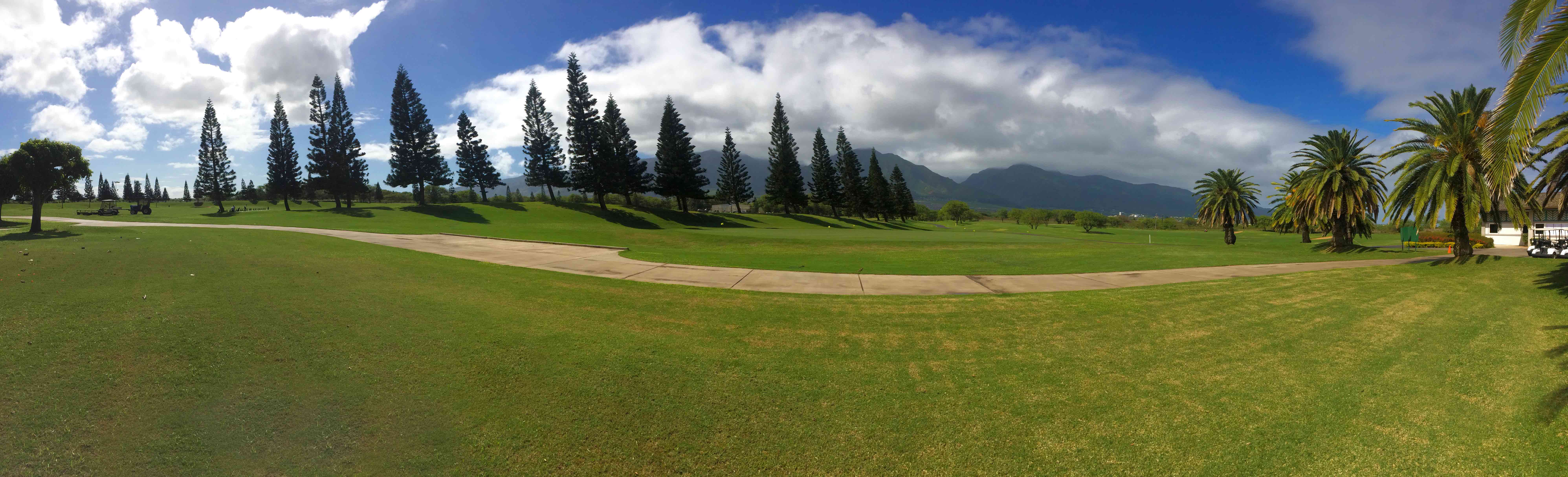 Singles maui