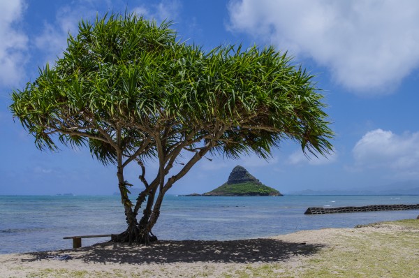 Chinaman's Hat