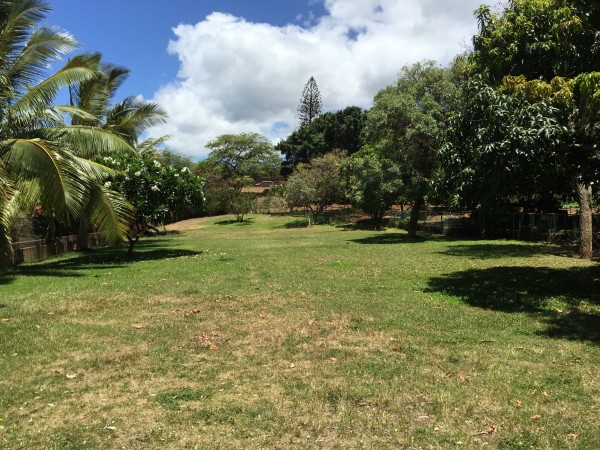 Kid park, Dog park, Adult Park, Picnic park, Play park