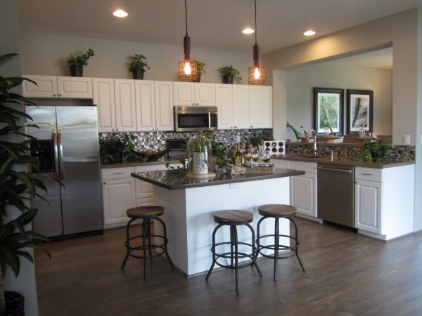 ParkSide Model