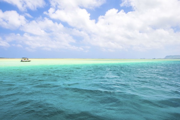kaneohe bay sandbar,oahu,hawaii
