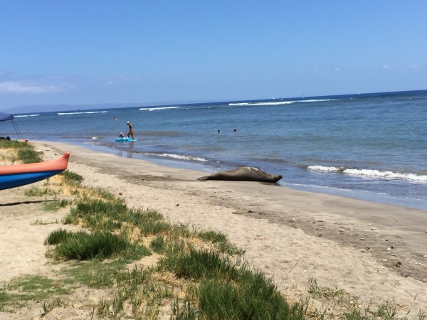 A reason why Front Street in Lahaina is a popular address. Sharkpit Beach.