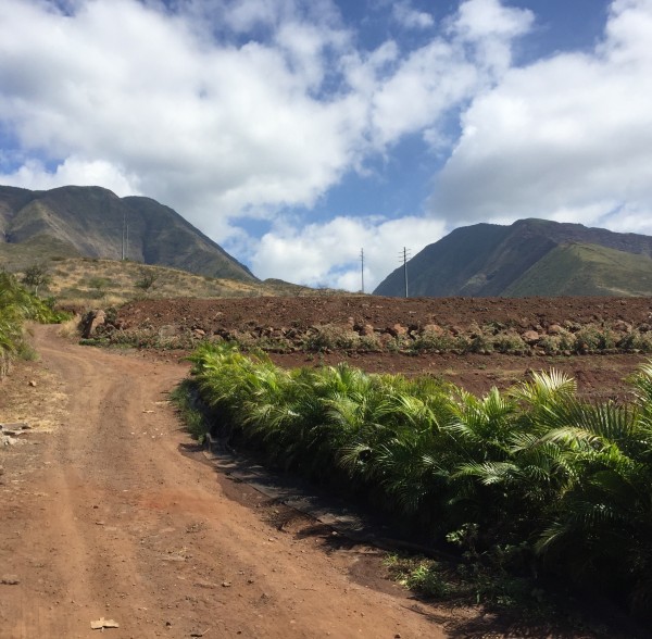 2.01 Acres of raw land with Main House, Ohana and Barn dwelling/building options.