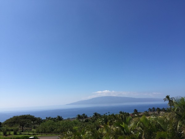 More than a million dollar view.