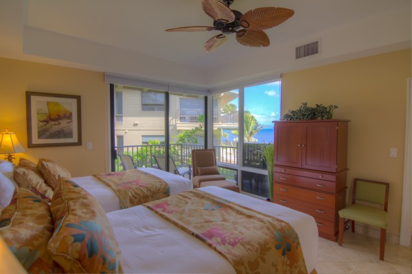 Guest Bedroom View