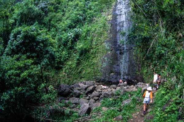 HL_Oahu_000049846336