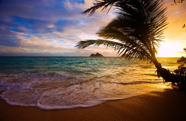 HL_Oahu_LaniKai
