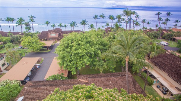 Puamana 177 Building Oceanview Aerial